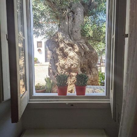 Masseria Vagone Macchia di Monte Dış mekan fotoğraf