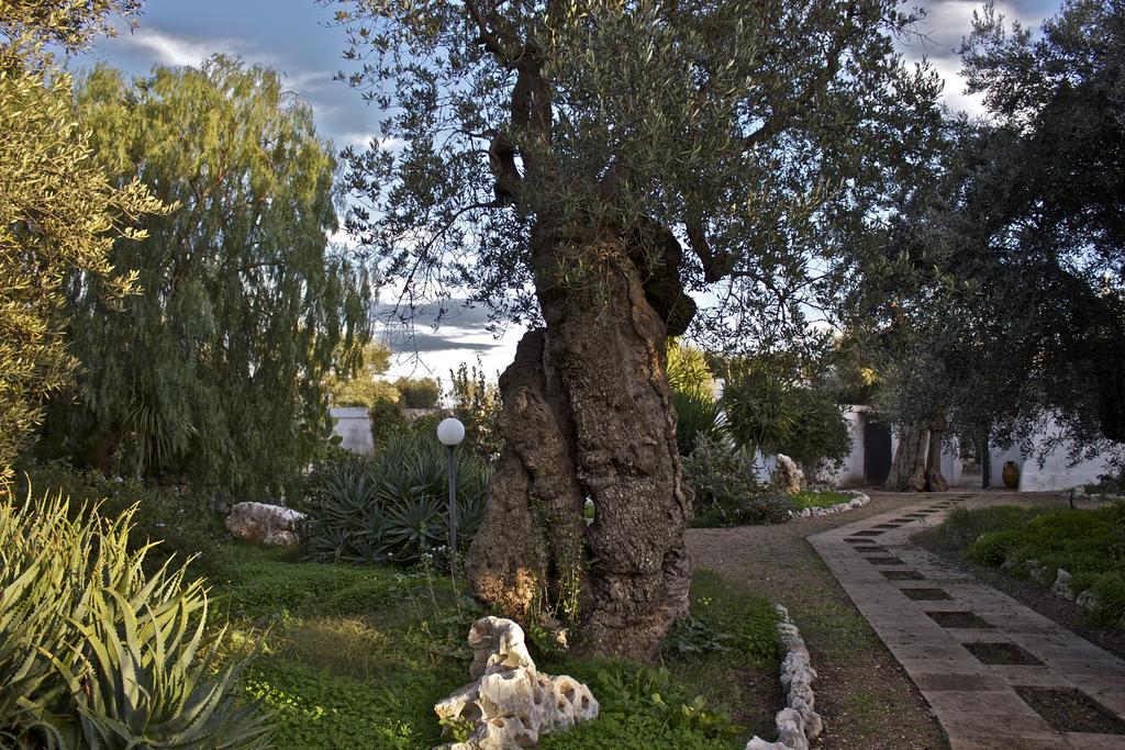 Masseria Vagone Macchia di Monte Dış mekan fotoğraf